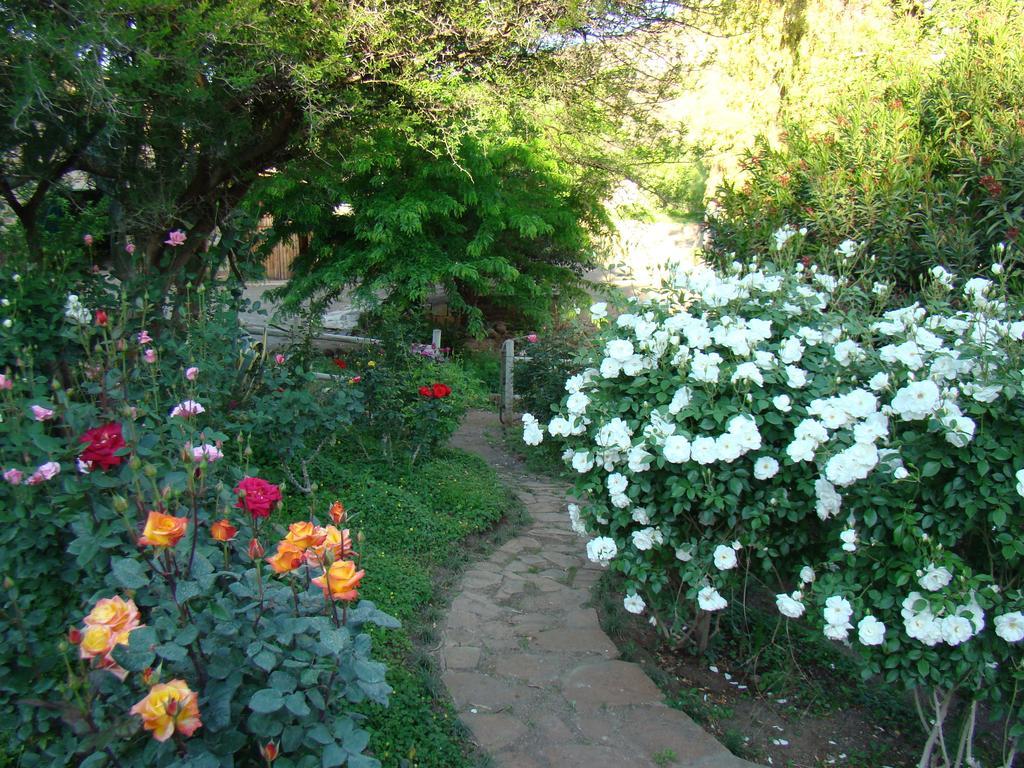 Graaff-Reinet Waterval Farmstay מראה חיצוני תמונה